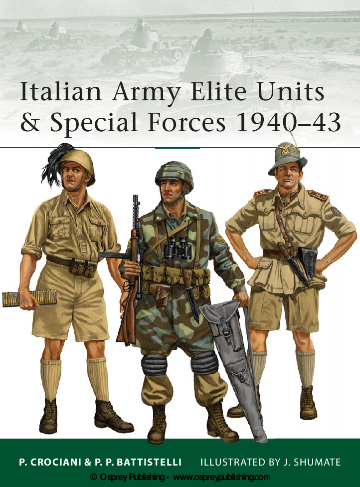 Italian Army, 24 October 1918 - Anciens Et Réunions