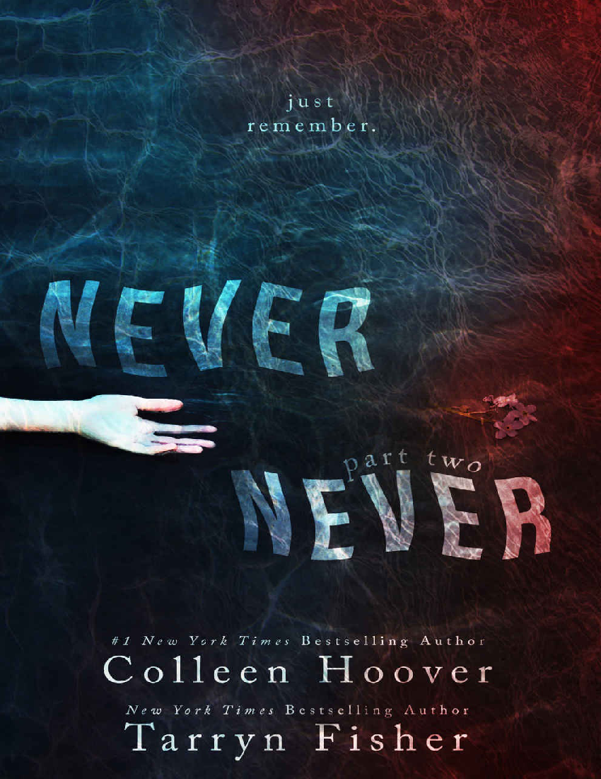 never never series colleen hoover