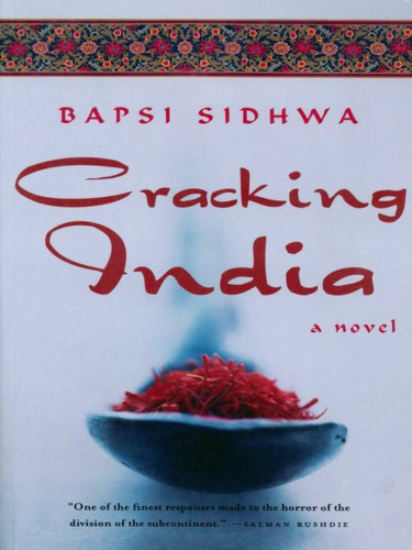 cracking india book
