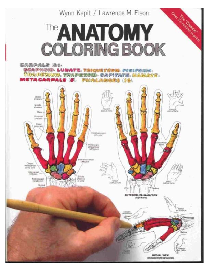 Download The Anatomy Coloring Book Benjamin Cummings Pobierz Pdf Z Docer Pl