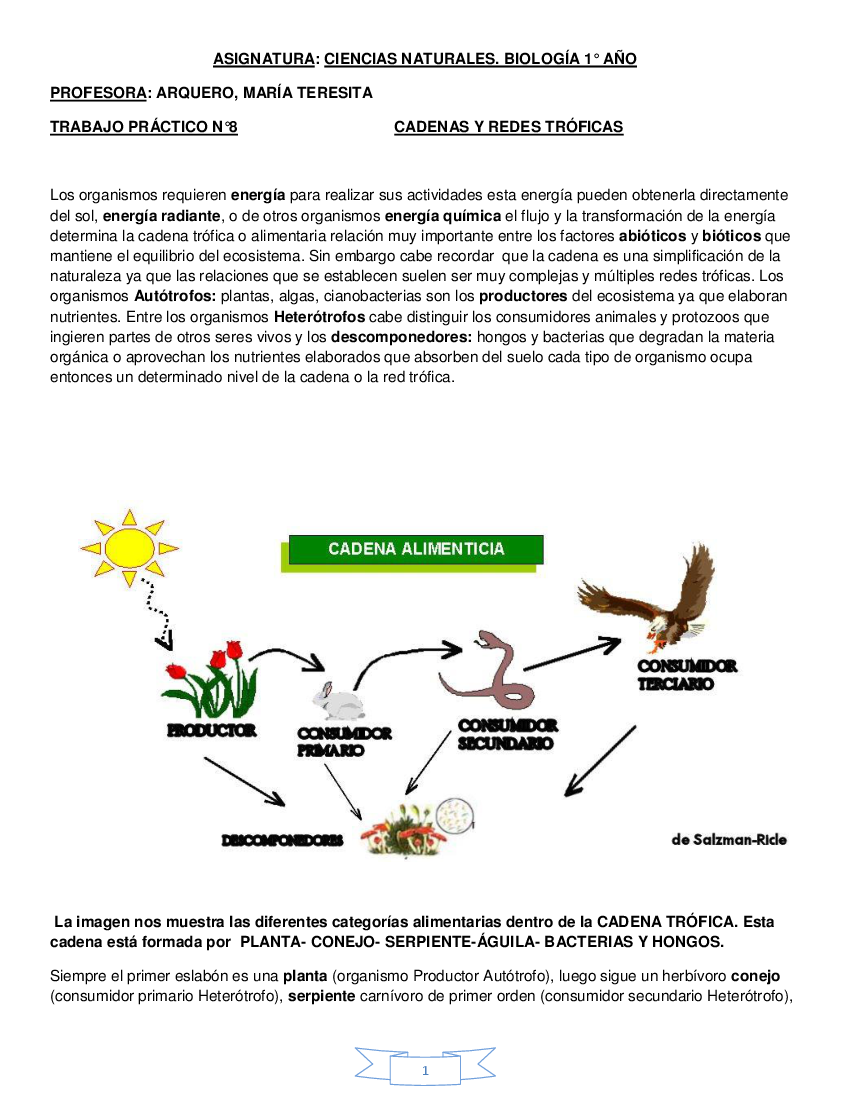 CN BIOLOGÍA TP N°8 CADENAS Y REDES TRÓFICAS - Pobierz pdf z 