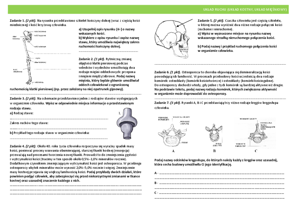 Sprawdzian Biologia Klasa 7 Dział 2 Aparat Ruchu