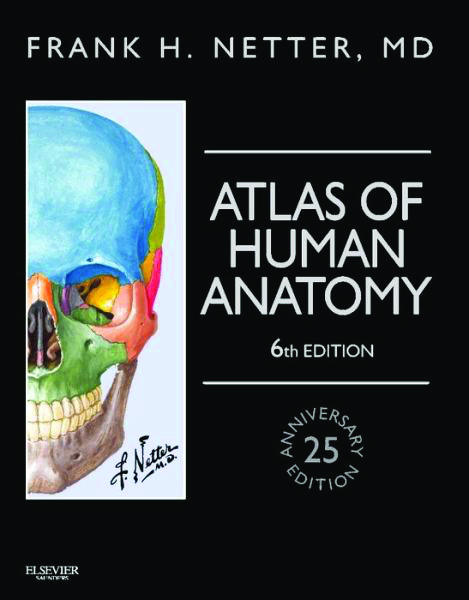 Netter S Atlas Of Human Anatomy 6th Edition 14 Pobierz Pdf Z Docer Pl