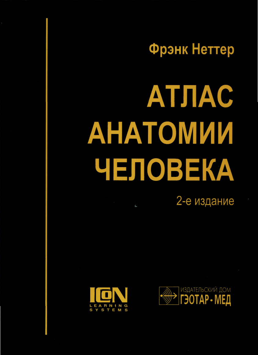 Фрэнк неттер анатомия. Фрэнк Неттер атлас анатомии человека 2003. Атлас по анатомии Фрэнка Неттера. Атлас анатомии Фрэнк Неттер 6 издание. Неттер ф. атлас анатомии человека..