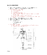 Uk Ad Krwionos ª Ny I Odpornos ª Ciowy Pobierz Pdf Z Docer Pl