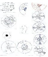 Dominando Aberturas No Xadrez PDF E. G. N. Kalinichenko