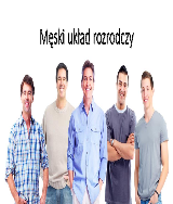 Uklad Rozrodczy Meski I Zenski Pobierz Pdf Z Docer Pl